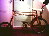 Leah & Dales Swing Bike Pic 6