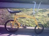 Leah & Dales Swing Bike Pic 16