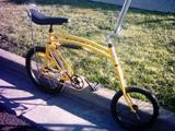 Leah & Dales Swing Bike Pic 17