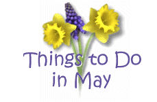 Things to Do in May