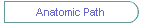 Anatomic Path