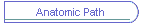 Anatomic Path