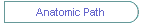 Anatomic Path
