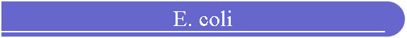E. coli