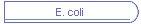 E. coli