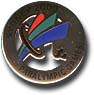 Cut-Out Color Paralympic Pin