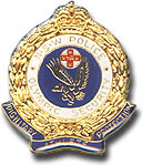 Gold/Blue Olympic Security pin