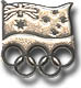 AOC Silver Flag & Rings Pin