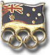 AOC Gold color Flag & Rings Pin