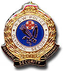 Gold/Black Olympic Security pin