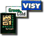 VISY Green & Gold pin