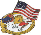 Sydney 2000 Flag Pin