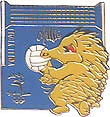 Mascot Sport Millie Volleyball Pin