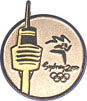 Sydney Tower Pin