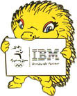 IBM Millie Pin