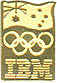 IBM Gold AOC Pin