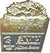 AMP Syd Swimming Pin