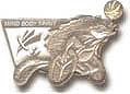 Mind Body Spirit moving Paralympic Pin