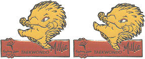 Millie Taekwondo Moving Pin