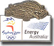Energy Australia Stadium Tour pin