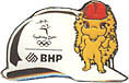 BHP Helmet Millie pin