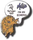 I'm a Echidna pin