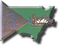 NSW from Space pin