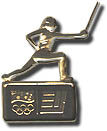 Ernest & Young AOC Fencing pin