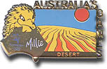 Mascots on Tour - Desert Pin