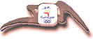 Sydney 2000 Removeable Gold Flash Pin
