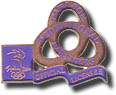 Carlson Promotional Partners pin