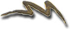 14K Gold Flash Pin