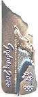 Sculpture Pin