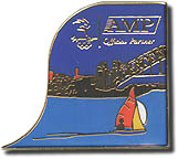 Carlson Promotional Partners pin