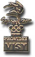 VISY Gold classic cutout Pin
