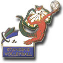 Lizzie Standing Volleyball Pin