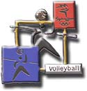 Volleyball, Cutout Pictogram Pin