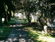 Path to Robertsons Point