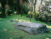 Boulder at Robertsons Point