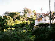 Cremorne Point houses