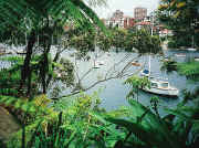 Mosman Bay from Cremorne Reserve path
