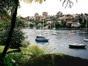 Mosman Bay from Cremorne Reserve path
