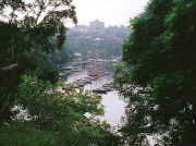Mosman Bay viewed from Cremorne Reserve