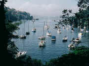 Mosman Bay viewed from Harnett Park / Cremorne Reserve