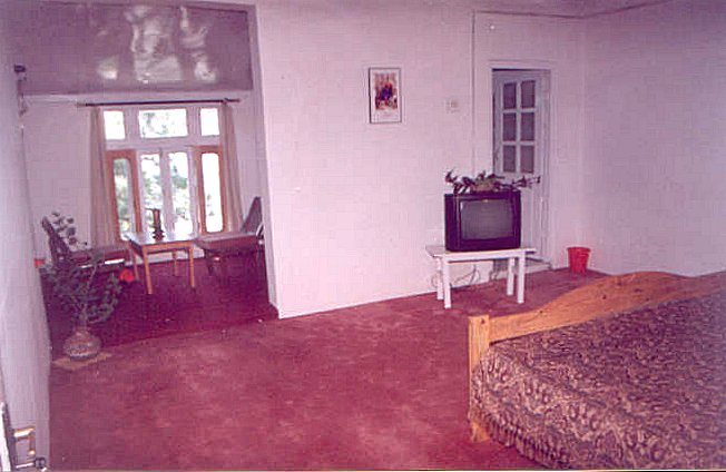 The suite