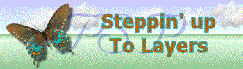 butterflybanner.gif