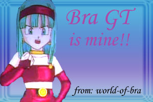 World-of-Bra