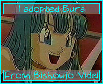 Bishoujo Videl