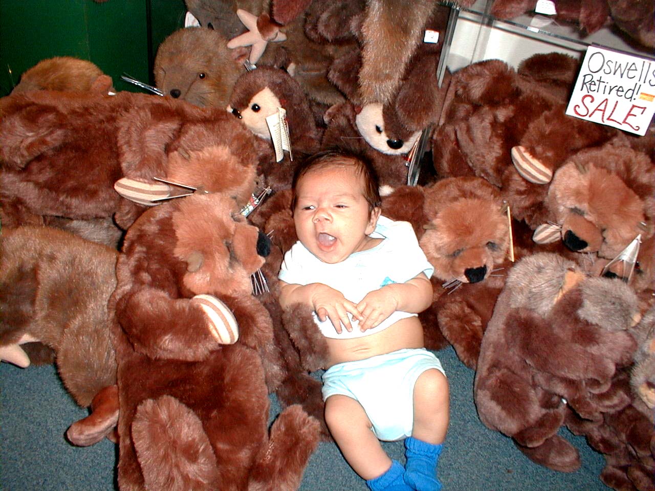 Caleb and Otters