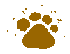 bear paw